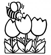 Цветы тюльпаны и пчелка 