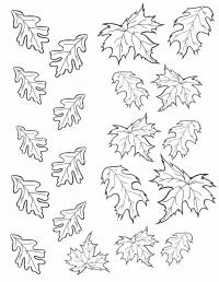 Раскраска осень | детские раскраски, распечатать, скачать, листья 