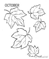 Раскраски осень раскраски, октябрь, листья 