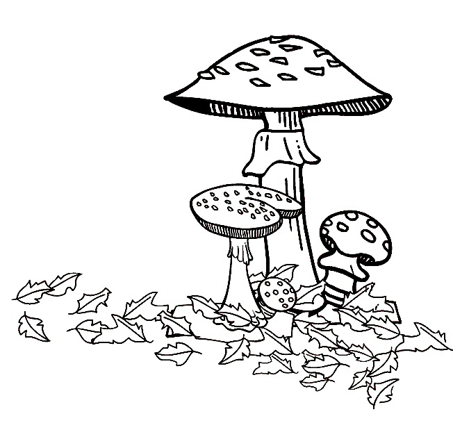 Раскраски осень, грибы, мухоморы 