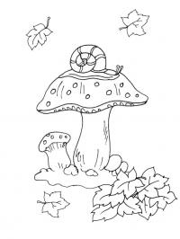 Раскраски осень раскраска, грибы, осень, гусеница 