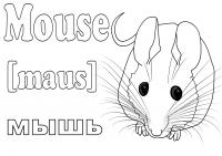 Английский в картинках и слово мышь для детей учим вместе и везде! 