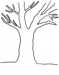 Как нарисовать дерево фото без листьев 