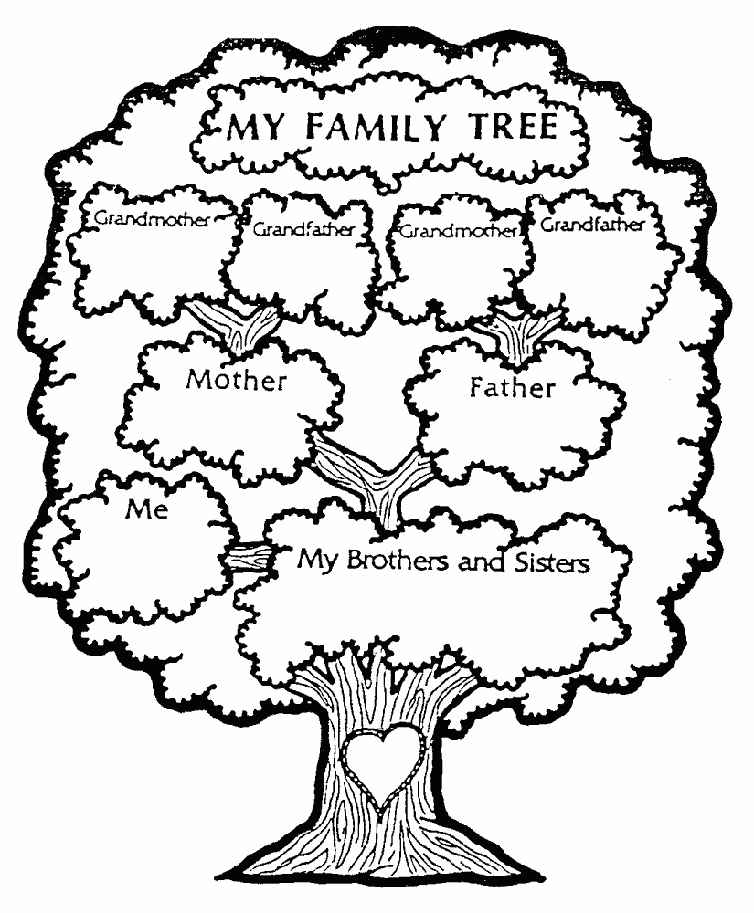 Дерево картинки фото, семейное дерево 