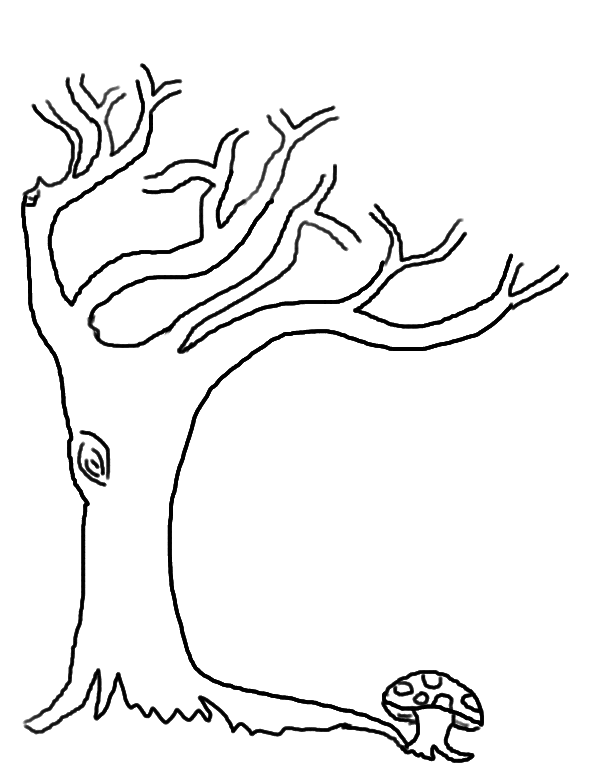Детская раскраска дерево без листьев 