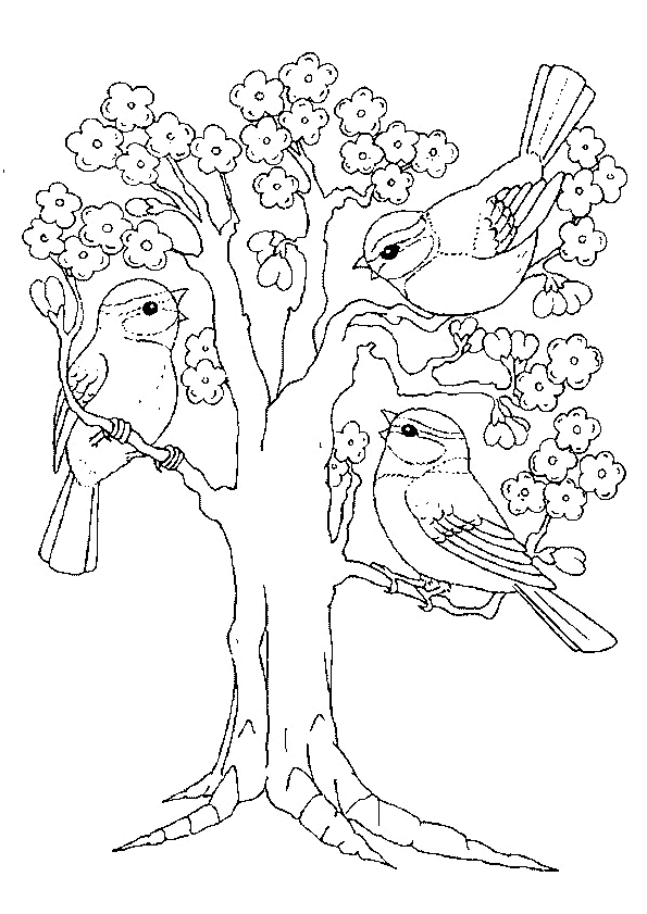 Огромные воробьи на цветущем дереве 