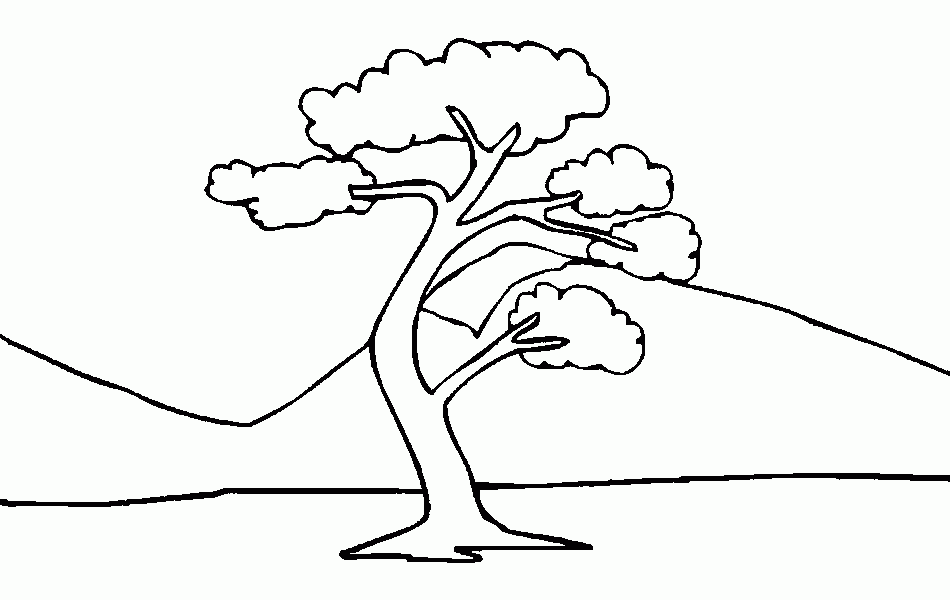 Одинокое дерево на фоне гор 