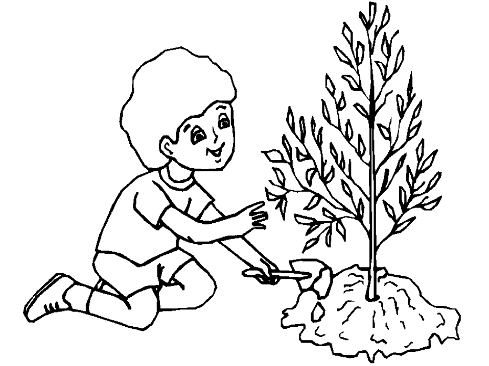 Раскраски защиты праздник 1 июня день защиты детей мальчик дерево расти 