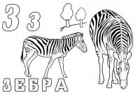 Раскраска зебра 