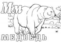 Раскраска медведь 