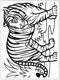Скачать или распечатать раскраску, уссурийский тигр 