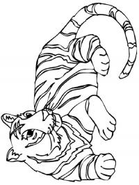 Скачать или распечатать раскраску, лежащий тигр 