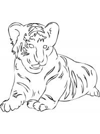 Скачать или распечатать раскраску, лежащий тигр 