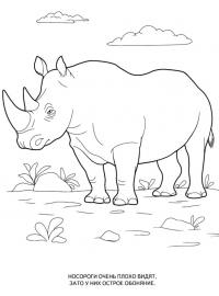 Картинки раскраски животные, носорог 