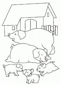 Раскраски домашние животные. свиньи и поросята 