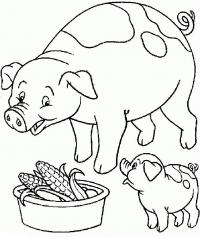 Домашние животные. раскраска. свиньи и кукруза 
