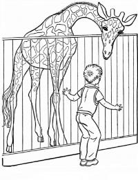 Скачать или распечатать раскраску мальчик с жирафон 