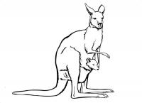 Скачать или распечатать раскраску, кенгуру с кенгуренком 