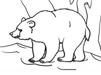 Раскраски лесные животные раскраска, животные, бурый медведь, мишка, лес 