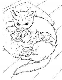 Детские раскраски для девочек и мальчиков, кошка с котятами спит на подушке 