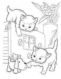 Детские раскраски для девочек и мальчиков, котята на радиоприемнике 