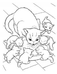 Детские раскраски для девочек и мальчиков, кошка с котятами пьют молоко 