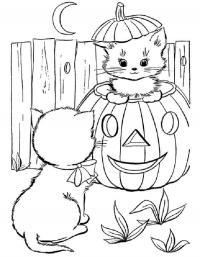 Детские раскраски для девочек и мальчиков, котенок выглядывает из тыквы на хэллоуин 