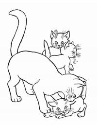 Детские раскраски для девочек и мальчиков, кошка вылизывает котенка 