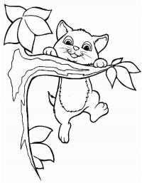 Детские раскраски для девочек и мальчиков, котенок весит на ветке дерева 