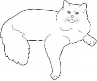 Рисунок пушистой кошки 
