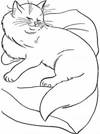 Шаблон кошка на подушке 