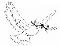 Раскраски день победы 9 мая голубь мира, голубь победы летит с раскрытыми крыльями и веткой 