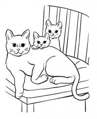 Раскраска кошка и два котенка 