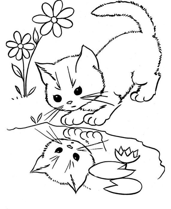 Раскраски кошки  котенок, лужа, маленький, отражение 