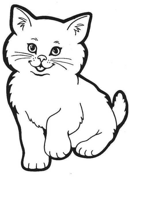 Раскраски кошки  раскраски, пушистый котенок, для детей 