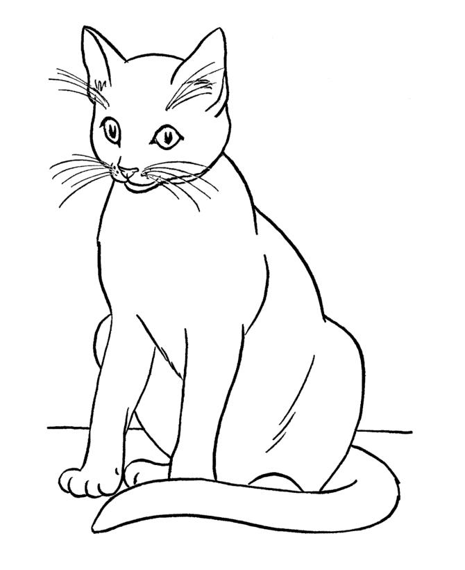 Раскраска сиамский кот 