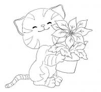 Раскраска кошка и горшок с цветком 