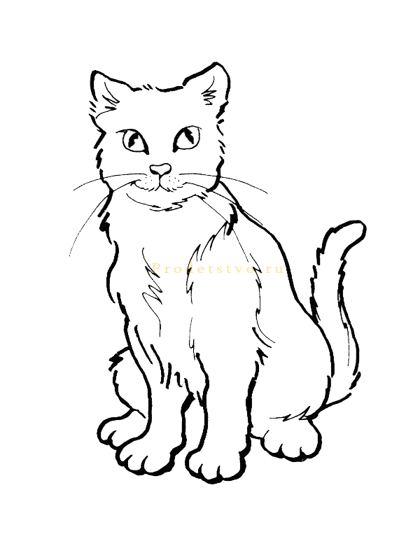 Рисунок кошки 