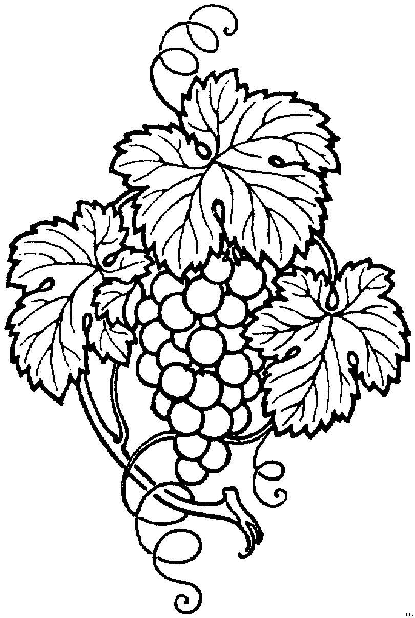 Рисунки для витражных красок, виноград 
