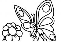 Раскраска бабочка и цветок. раскраска раскраски для малышей, простые раскраски для маленьких детей, бабочка, цветок 