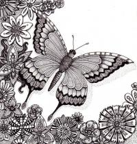 Раскраски антистресс бабочка в окружении цветов 
