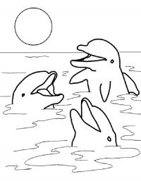 Детские раскраски для девочек и мальчиков. разговор дельфинов 