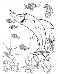 Детские раскраски для девочек и мальчиков. акула 
