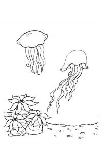 Раскраски подводный мир медузы, кораллы 