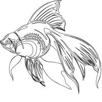 Рыбка с красивым хвостом, скачать или распечатать раскраску распечатать скачать 
