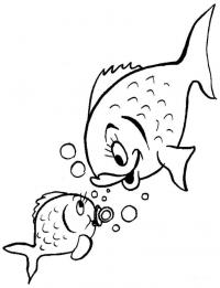 Мама рыбка и малыш рыбка, скачать или распечатать раскраску распечатать скачать 