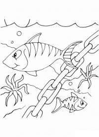 Рыбы возле потонувшего коробля, скачать или распечатать раскраску распечатать скачать 