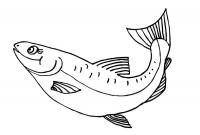 Рыбка с длинными ресничками, скачать или распечатать раскраску распечатать скачать 