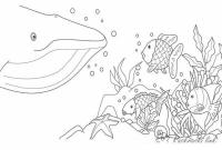 Раскраски рыба природа подводный мир кит рыбки рыбка рыба 