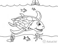 Раскраски рыба природа подводный мир море черепаха рыба 